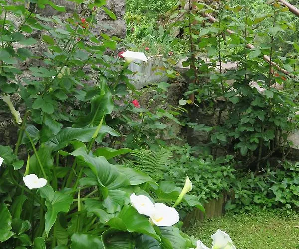 Bellagio View Holiday home Oliveto Lario