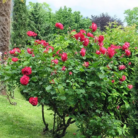 Bellagio View Сasa de vacaciones