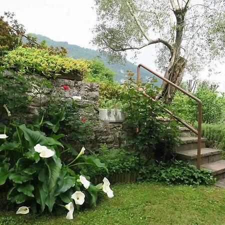 Сasa de vacaciones Bellagio View Oliveto Lario