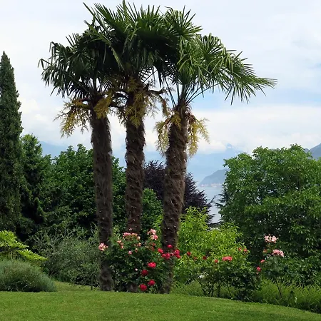 Bellagio View * Oliveto Lario