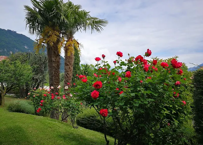 Bellagio View 別荘 Oliveto Lario