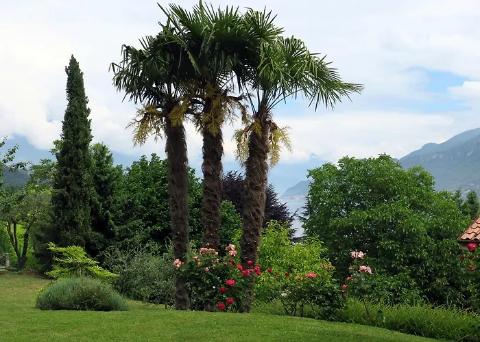 Bellagio View * Oliveto Lario