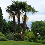 Bellagio View * Oliveto Lario