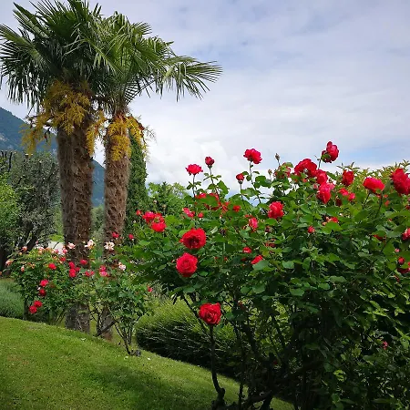 Bellagio View בית נופש Oliveto Lario