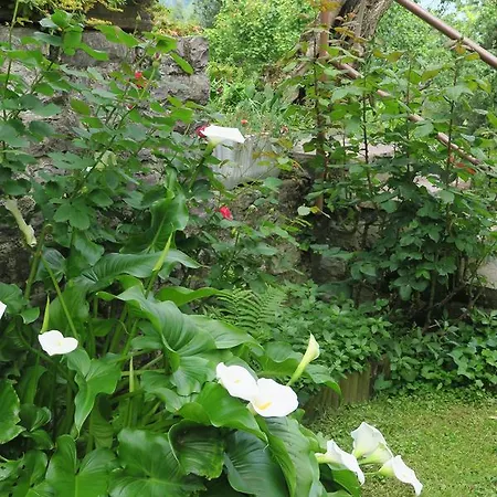 Bellagio View בית נופש Oliveto Lario